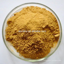 Hot Selling Product Certificate Organic Product Cordyceps Militaris Extract/Powder